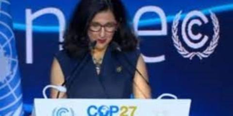 مينوش شفيق : الثورة التصنيعية الخضراء هي قصة النجاح الجديدة لافريقيا