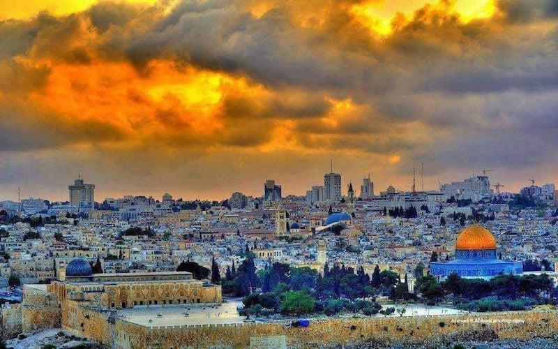 " فاحَ الشَذا " قصيدة للشاعرة نهى عمر 