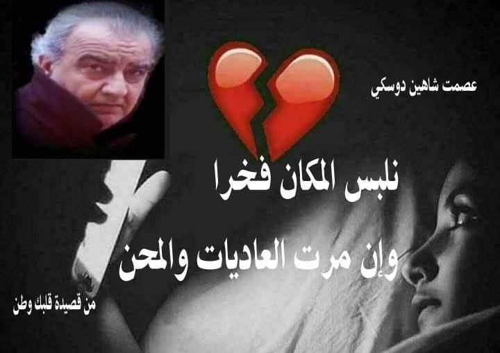 الأديب عصمت شاهين دوسكي يكتب : قصيدة قلبك وطن 